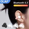 OLAF Bluetooth 5.3 Earphones Wireless Headphones with Mic Button Control Noise Reduction Earhooks Waterproof Headset